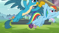 Rainbow and Gallus carrying plank of wood S8E2