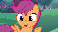 Scootaloo --they've all done this before-- S6E14