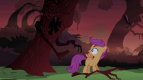 Scootaloo with the tree branch broken off S3E06