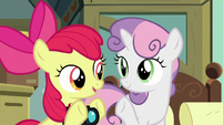 Apple Bloom and Sweetie Belle hold up three hooves S9E12