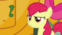 Apple Bloom does not approve S3E4