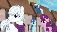 Double Diamond, Party Favor, Sugar Belle, and Night Glider sees someone S5E26