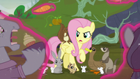 Fluttershy "it's time you both put your differences aside" S5E23