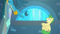 Gallus pulls his tail free from stallion S8E26