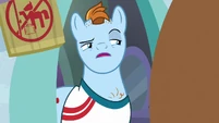 Meathead Pony "Shoals, Seas, Surfer" S9E5.png (909 KB)
