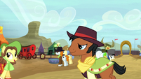 Ponies at the Appleloosa rodeo S5E6