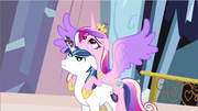 Princess Cadence wings spread out S3E2.png