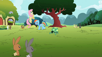 Rainbow Dash go away tortoise S2E7