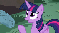 Twilight Sparkle "anypony who lives in a tree" S7E20