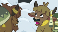 Yak kid 2 "snow worse than yak ever seen!" S7E11