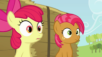 Babs and Apple Bloom hearing Applejack S3E08