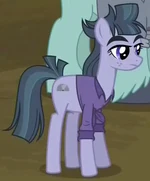 Buzzsaw McColt ID S5E23