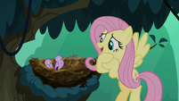 Fluttershy "I may be walking in circles" S8E13