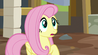 Fluttershy looking very surprised S7E5