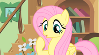 Fluttershy thinking S01E22