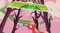 Say, isn't that the canopy somepony made?