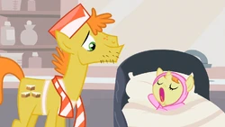 pic Newborn Pound Cake And Pumpkin Cake pound cake and pumpkin cake gallery