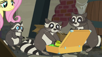 Raccoon family packing their bags S6E9