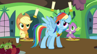 Rainbow Dash Surprised S3E10