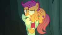 Scootaloo trembling on Rainbow Dash's head S7E16