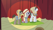 640px-Earth ponies S2E11.png