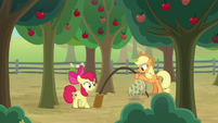 AJ and Apple Bloom set a net trap S9E10