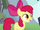 Apple Bloom