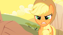 Applejack explains that some of their friends are missing S1E21
