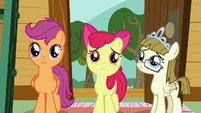 CMC and Zipporwhill feel sorry for Sweetie Belle S7E6