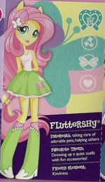Fluttershy as seen in the Equestria collection pamphlet cropped