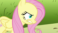 Fluttershy breathing heavily after Rarity and Pinkie run away S2E19