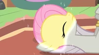 From Fluttercruel to Fluttershy.