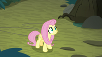 Fluttershy watches fake Rainbow fly away S8E13