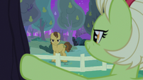 Grand Pear glaring angrily at Granny Smith S7E13