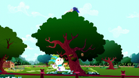 Luna carries Fluttershy to the top of a tree S5E13