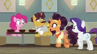 Saffron Masala "without Zesty's approval" S6E12
