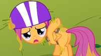 Well, considering tree saps can't be considered a cutie mark, then I say no.