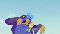 Thorax fluttering in the maulwurf's face S7E17.png (644 KB) Thorax fluttering in the maulwurf's face S7E17