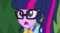 Twilight Sparkle determined yet again EG4