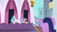 Twilight spying on Celestia and Shining Armor S9E4