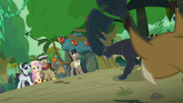 Caballeron's team sees jungle cats approach S9E21