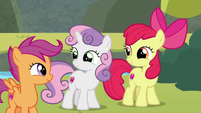 Cutie Mark Crusaders smiling at each other S8E6