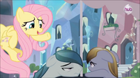 Fluttershy 'You look really busy' S3E1