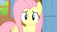 Fluttershy looks at Breezies S04E16