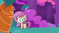 Fluttershy notices something behind her PLS1E8a