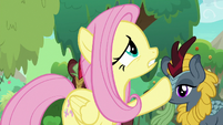 Fluttershy worried about the forest S8E23
