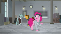 Pinkie Pie "I know there's something" S9E14