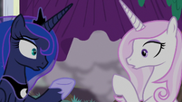 Princess Luna and Fleur hear an explosion S8E7