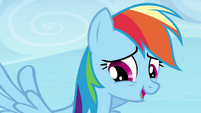 Rainbow Dash "point taken" S4E25