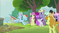 Rainbow Dash Landing Gracefully S2E8